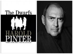 kko_harold_pinter_cirtdanlar